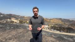Devastation in Bédar: Examining the Aftermath of Southern Spain's Wildfires