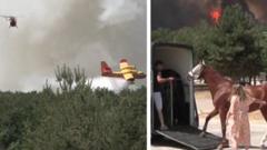 Equestrian Center Evacuates Horses Amidst Expansive Fontainebleau Wildfire